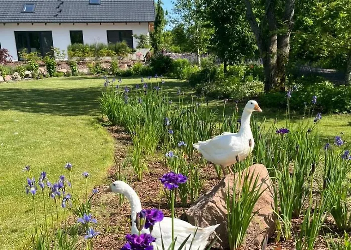 Diamentowy Staw Σπίτι διακοπών